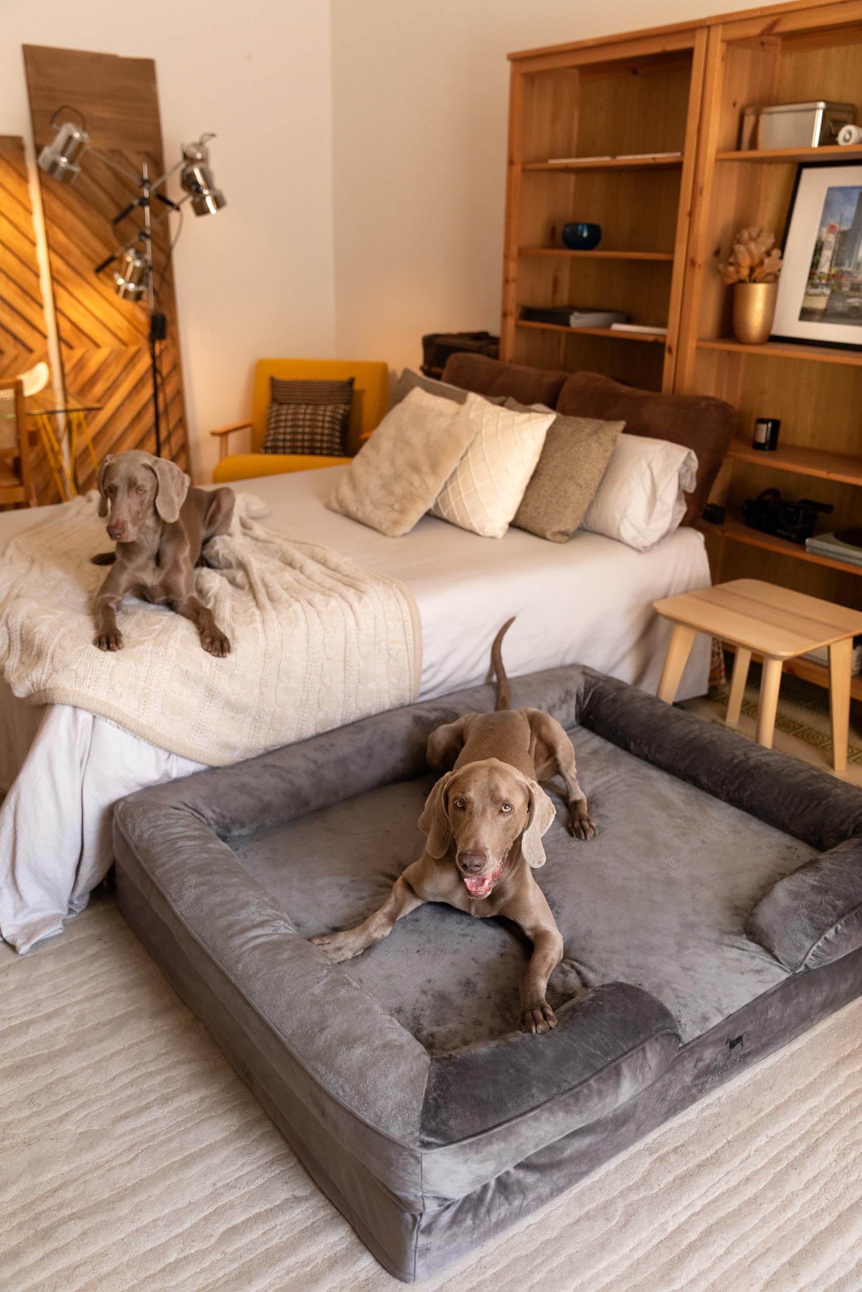 NOAH & PAW Giant Dog Bed XXL velvet surface adds soft, luxurious feel.