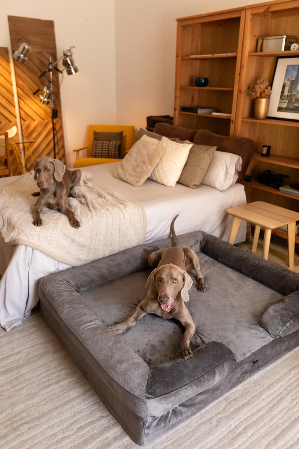 NOAH & PAW Giant Dog Bed XXL velvet surface adds soft, luxurious feel.