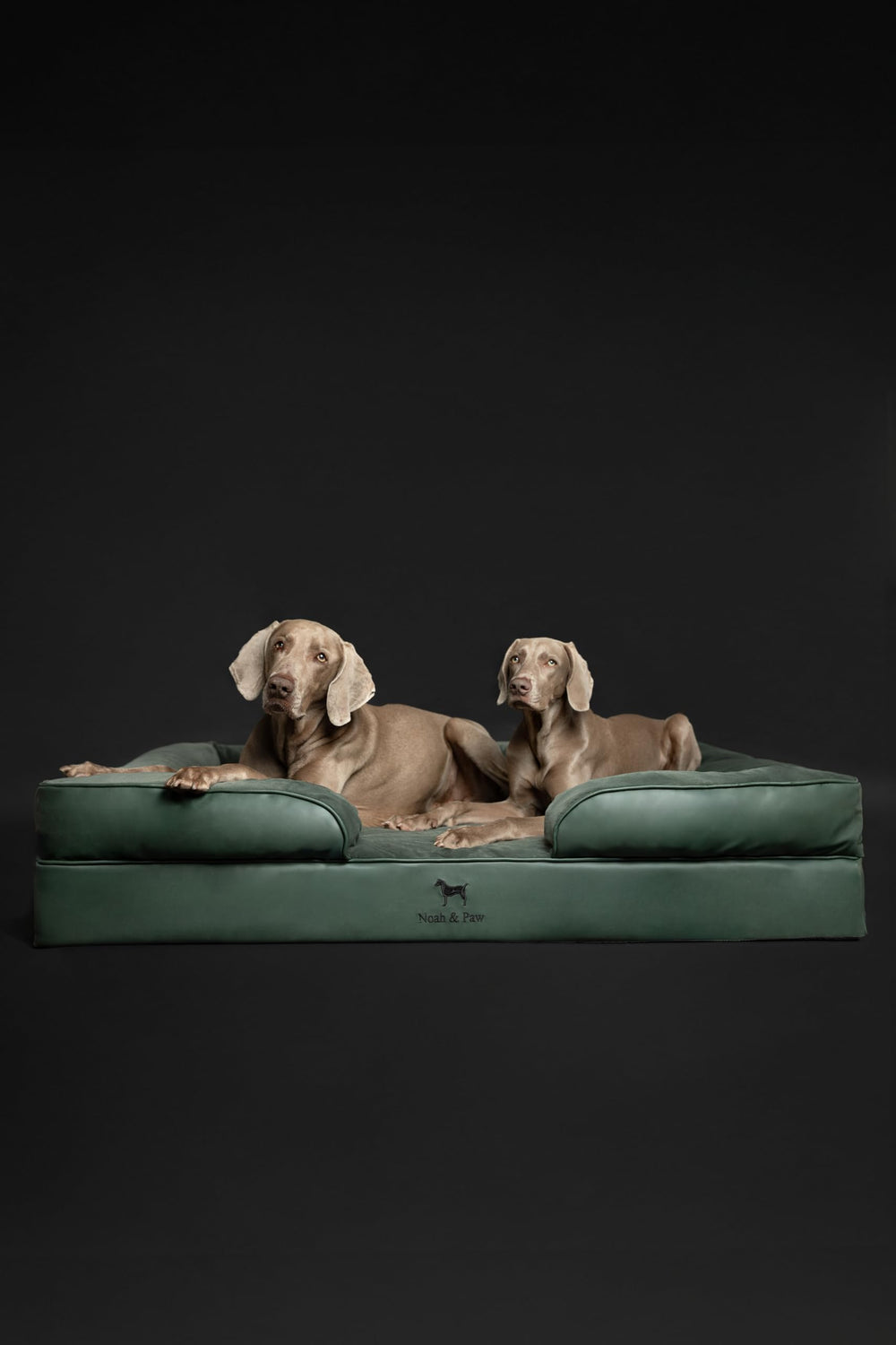 NOAH & PAW inner cover and removable outer cover for washing
