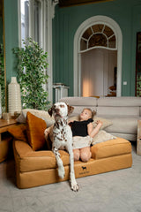 NOAH & PAW large dog bed inner and outer covers detail for easy washing