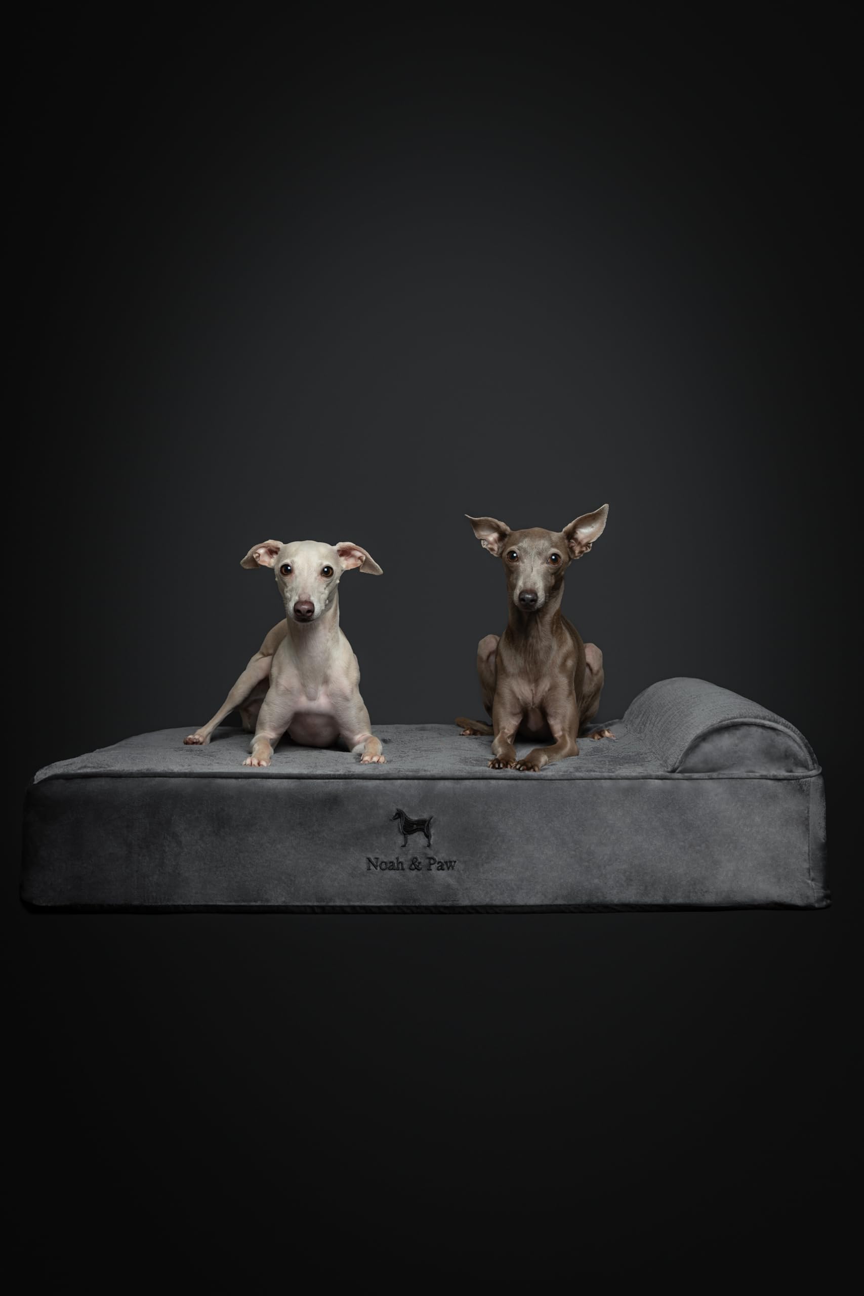 NOAH & PAW machine-washable covers ready for busy homes