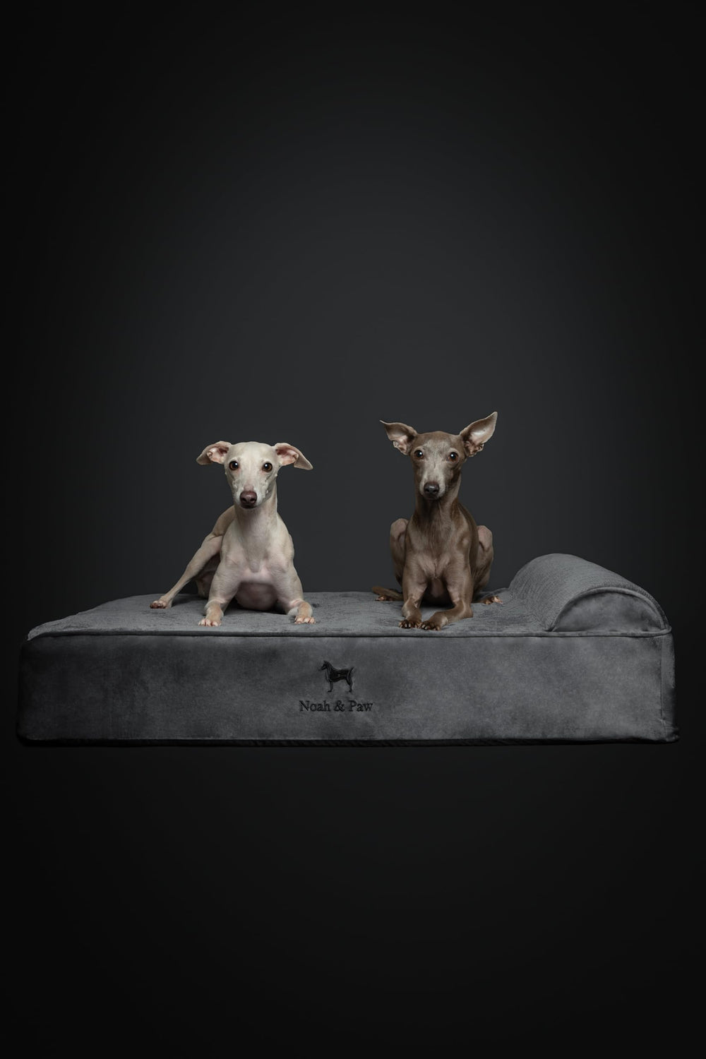 NOAH & PAW machine-washable covers ready for busy homes