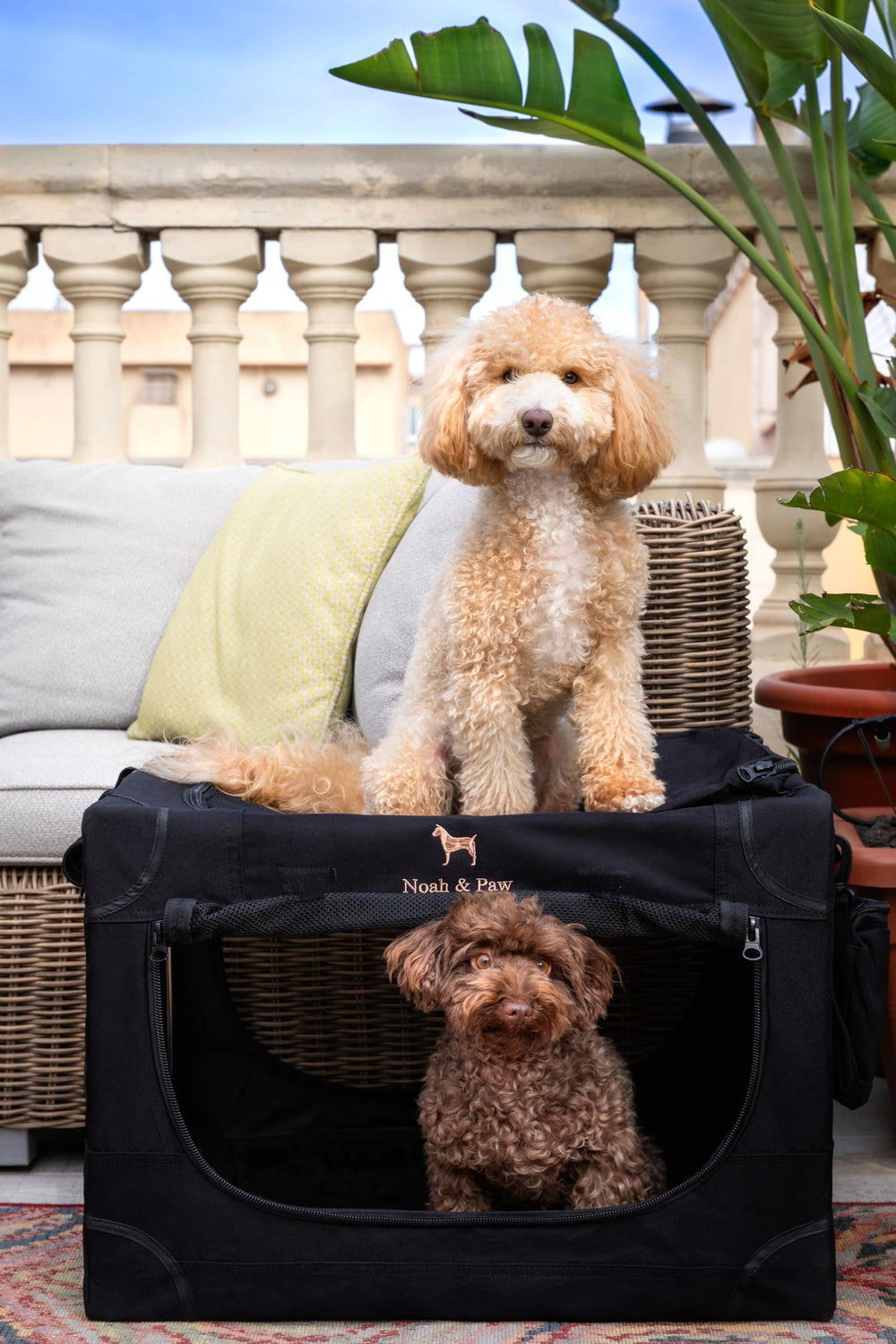 Noah & Paw crate premium stainless-steel frame and 900D cover.