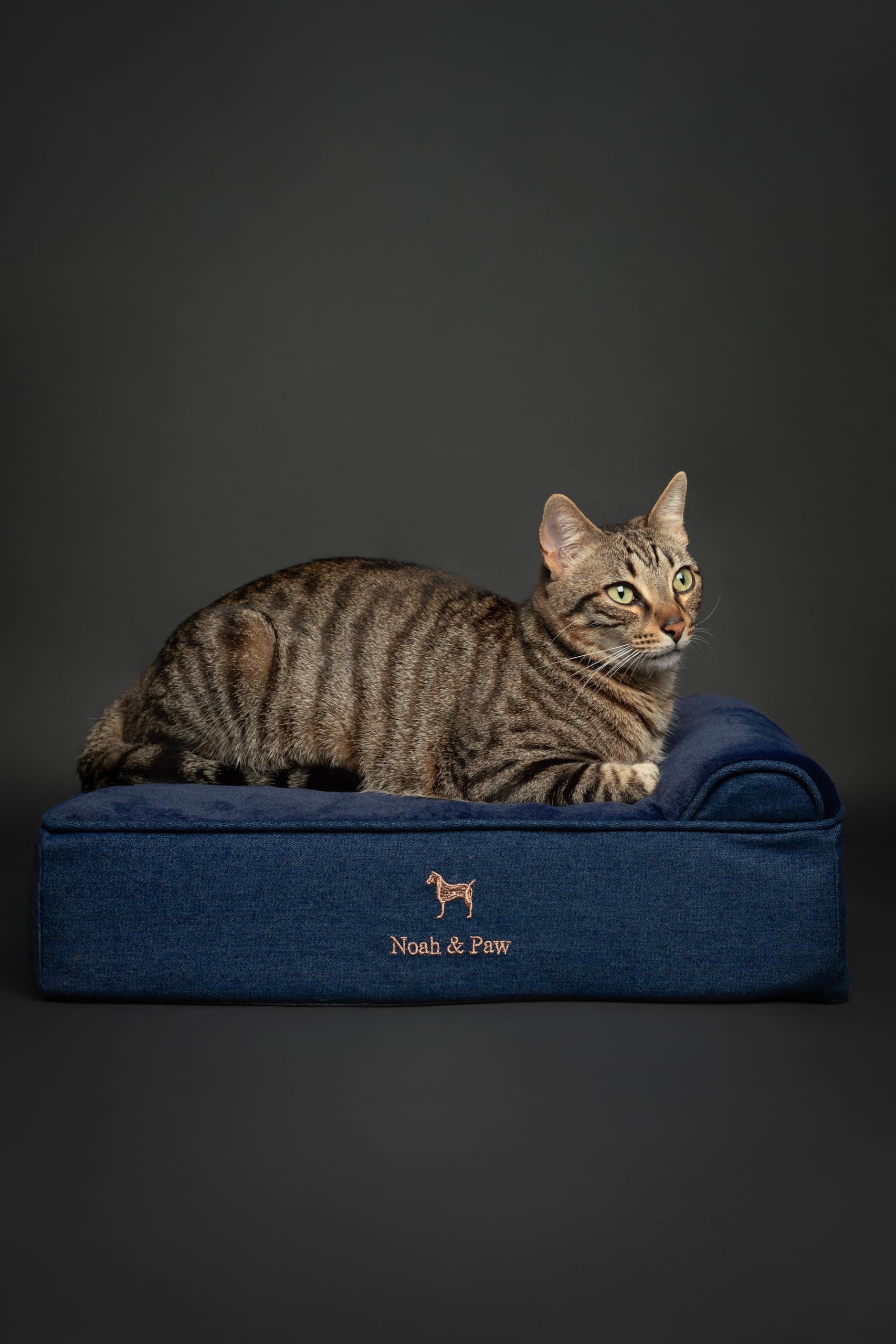 NOAH & PAW small dog bed denim outer cover close-up waterproof and washable