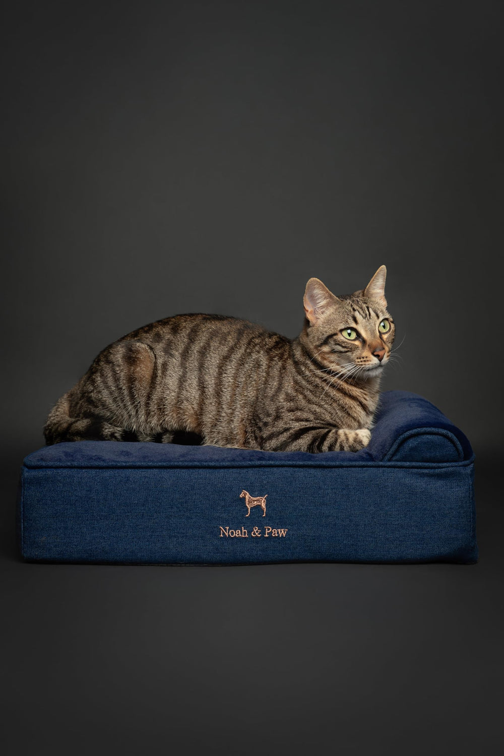 NOAH & PAW small dog bed denim outer cover close-up waterproof and washable
