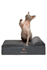 NOAH & PAW small dog bed foam-core for orthopedic comfort and support