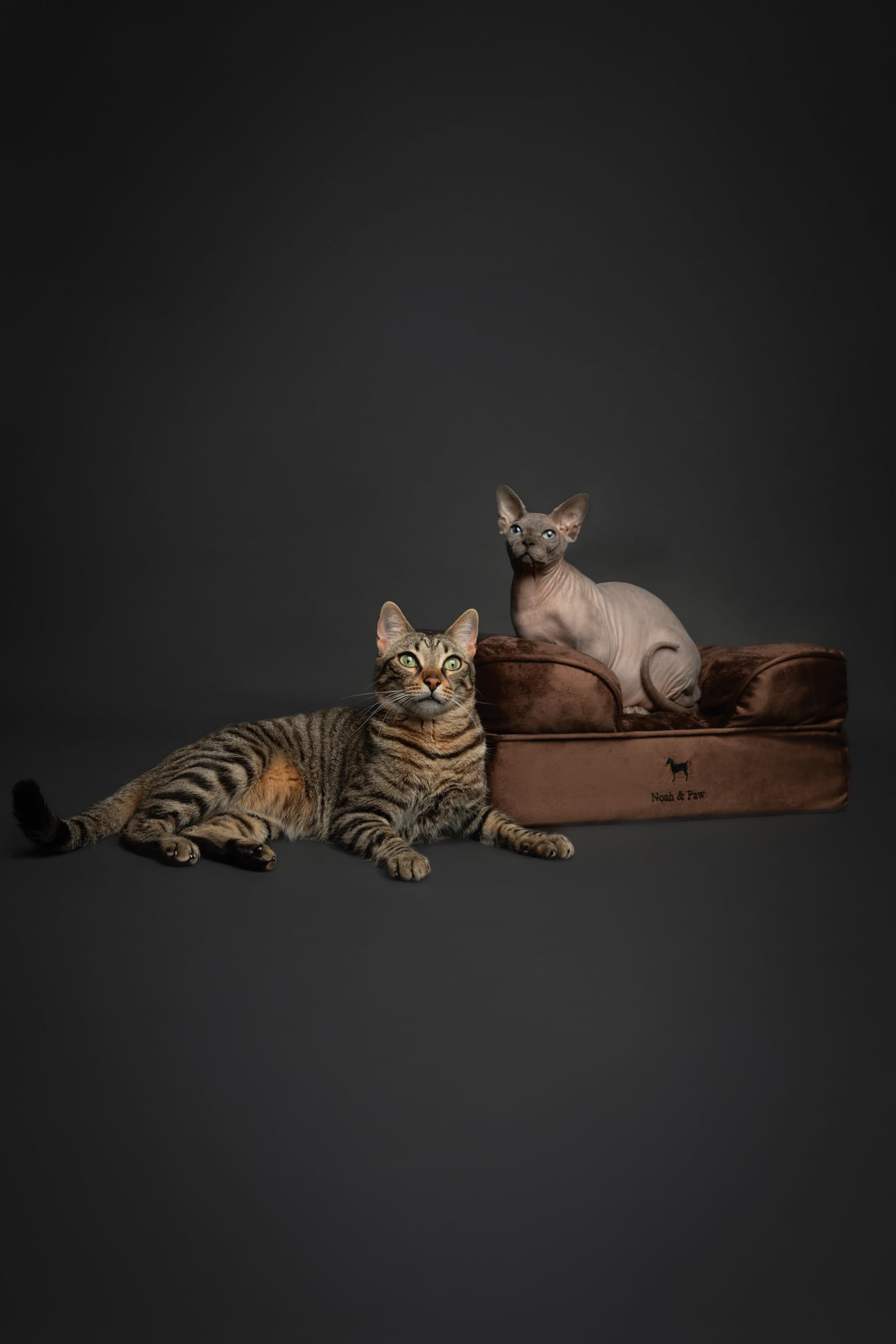 NOAH AND PAW memory foam core with cooling gel supports comfortable, cool rest.