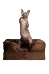 NOAH AND PAW bed outer cover with waterproof velvet finish for easy cleaning.
