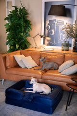 NOAH & PAW Velvet Sofa Collection dog bed closeup highlighting luxury fabric and comfort
