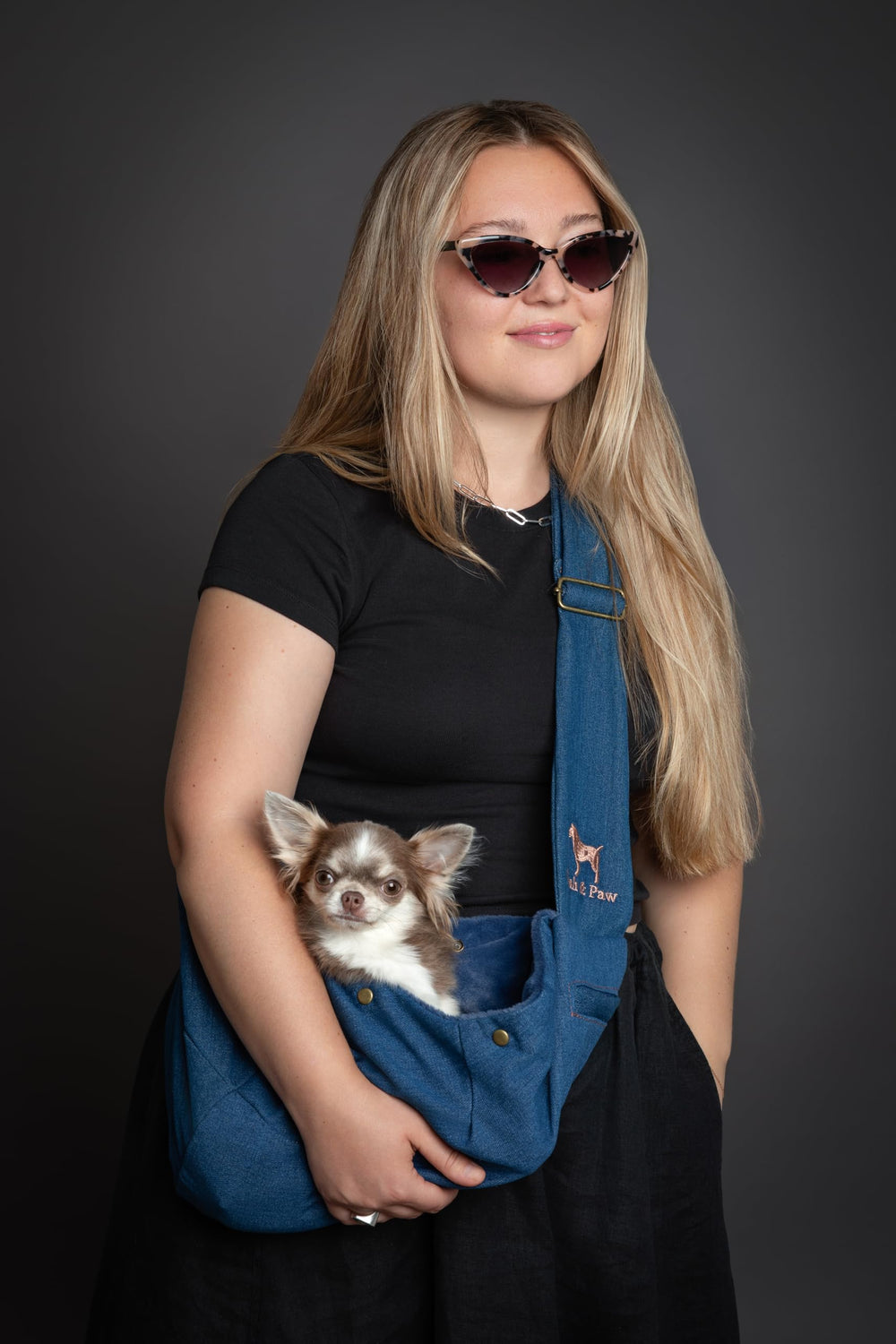 Noah & Paw sling ideal for walks and travel
