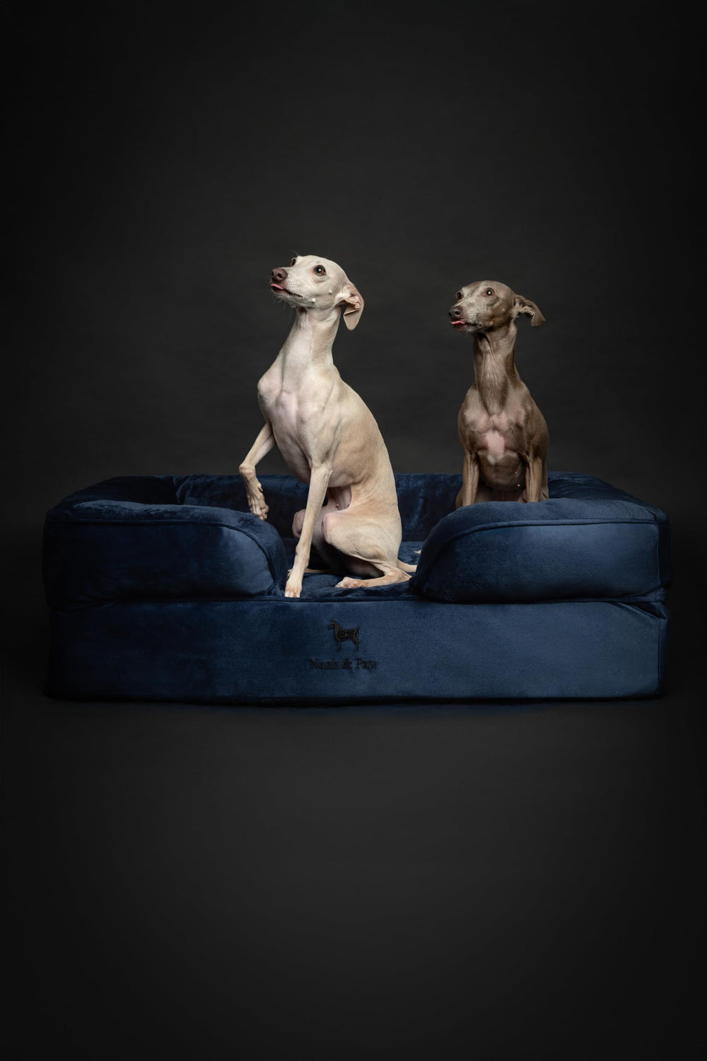 NOAH & PAW waterproof outer cover with removable inner cover