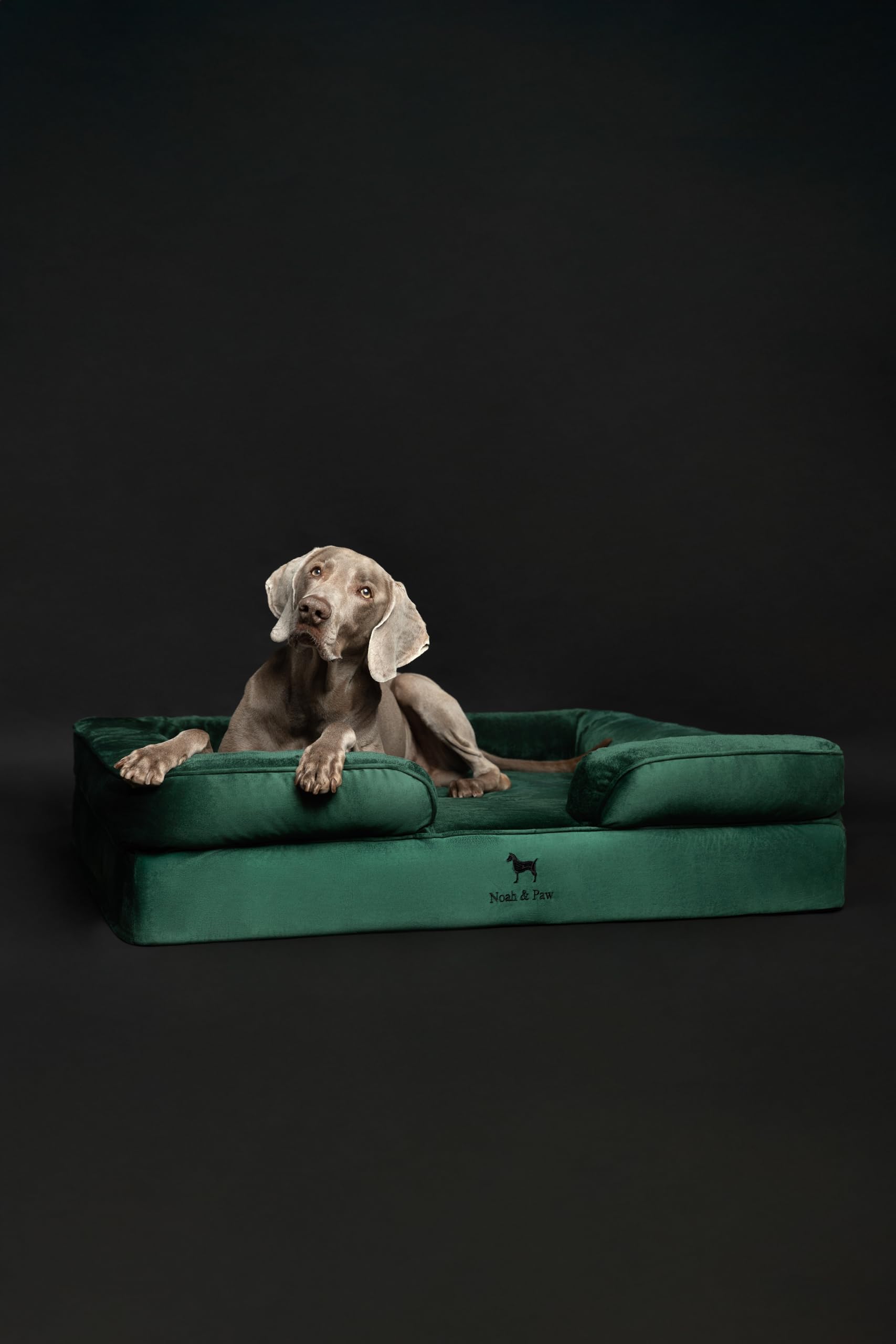 NOAH & PAW XL bed velvet fabric adds cozy lounge feel