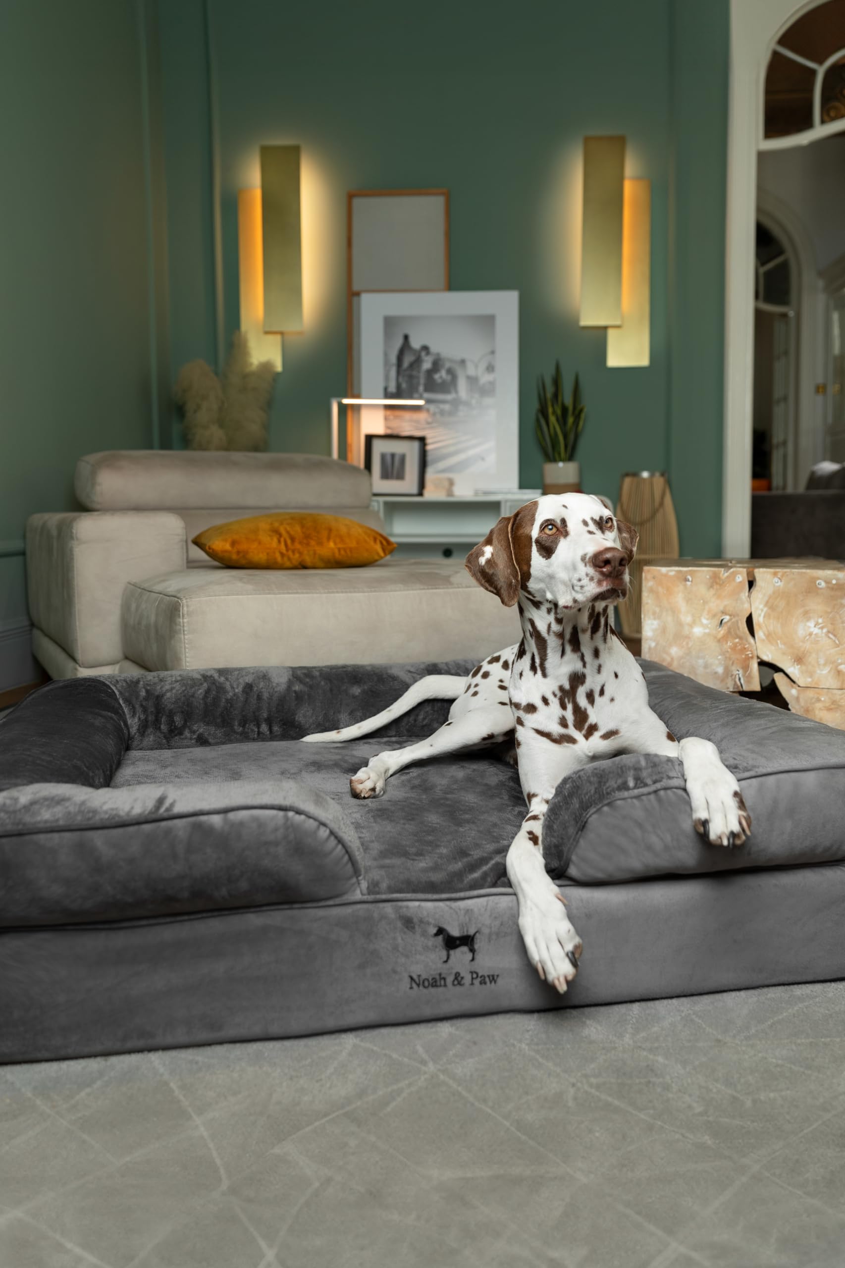 NOAH & PAW XL memory foam with cooling gel for temperature-balanced rest