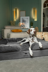 NOAH & PAW XL memory foam with cooling gel for temperature-balanced rest
