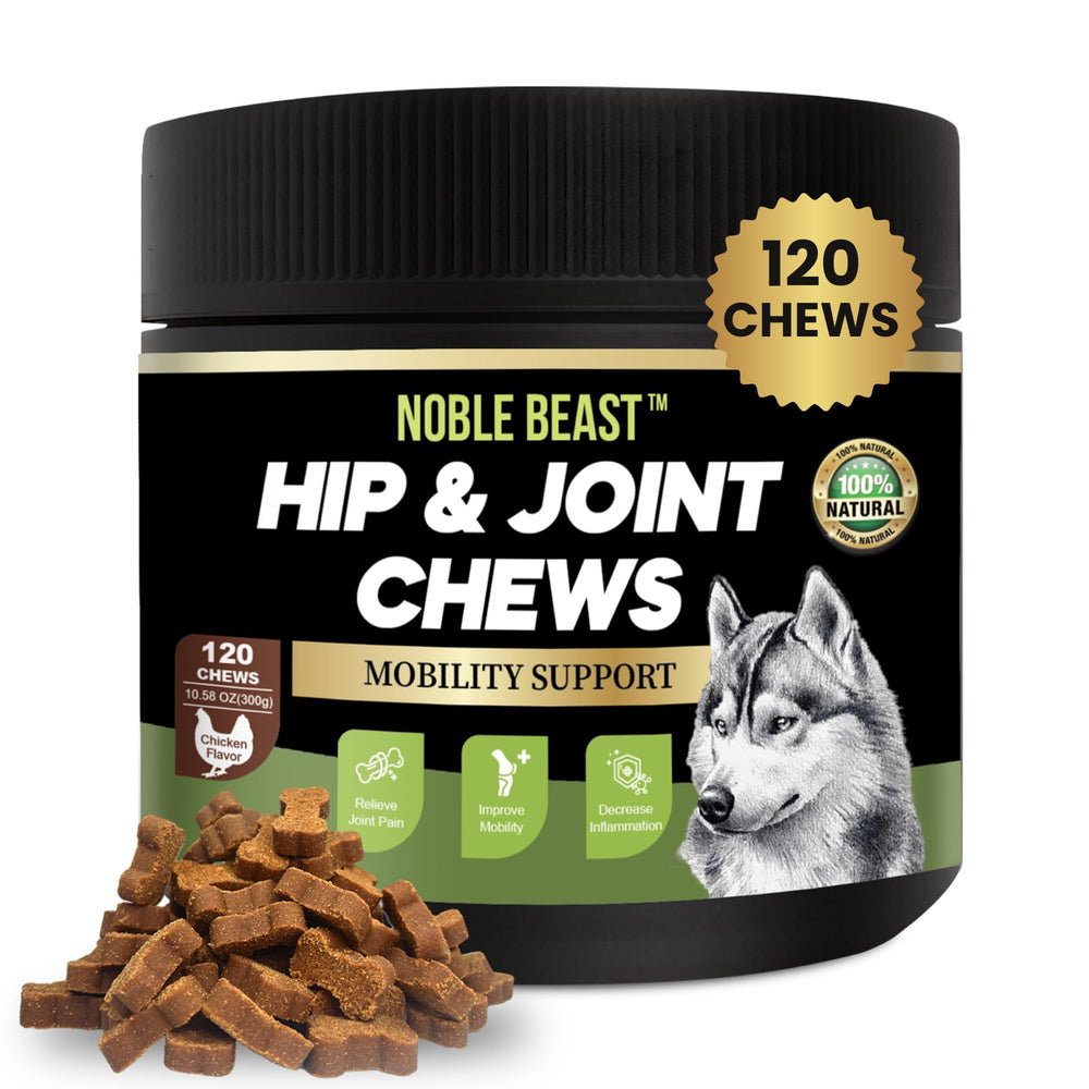 Noble Beast dog joint soft chews bottle shows natural ingredients for hip support.