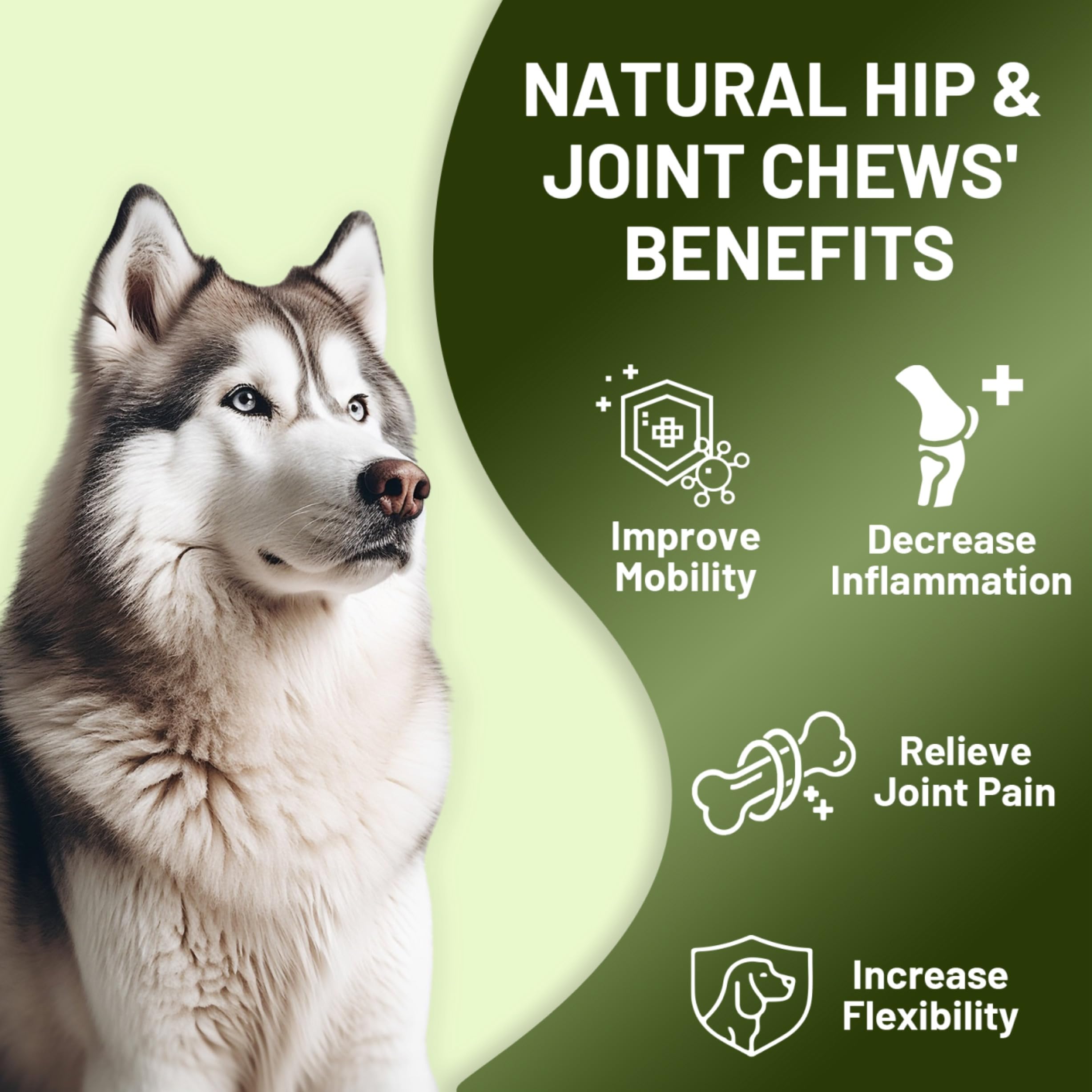 Noble Beast joint supplement packaging closeup emphasizes natural, grain-free formula.