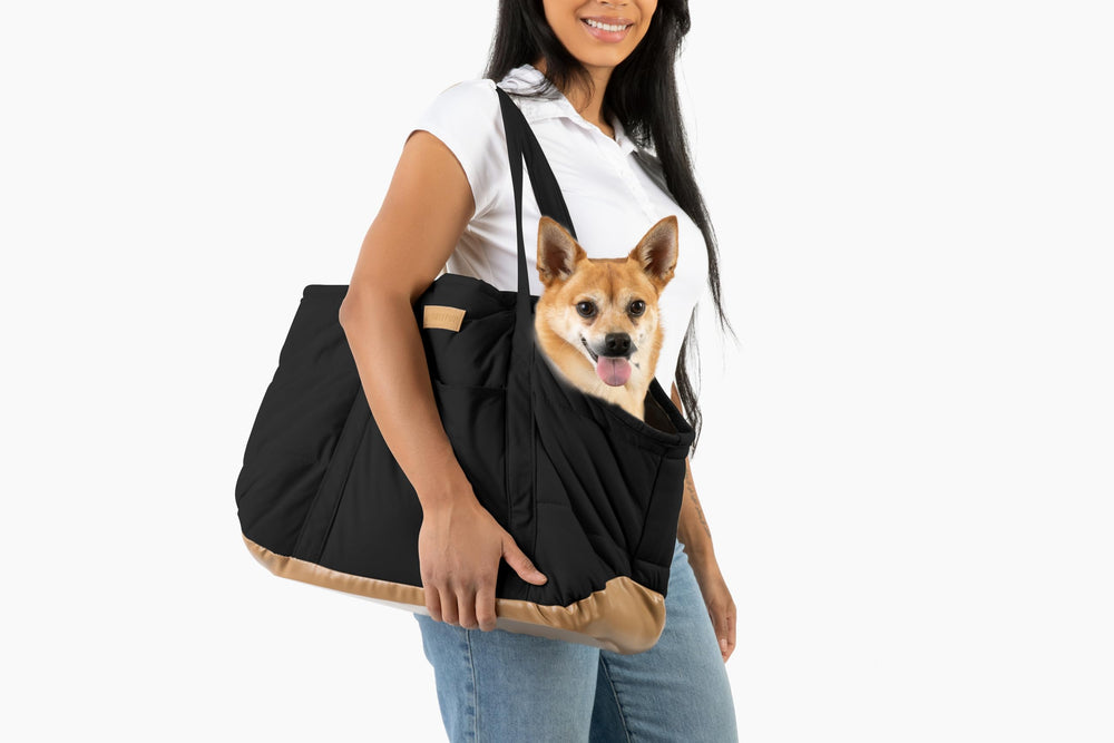 NoblePup lightweight dog carrier highlights travel-friendly, everyday use for small dogs.
