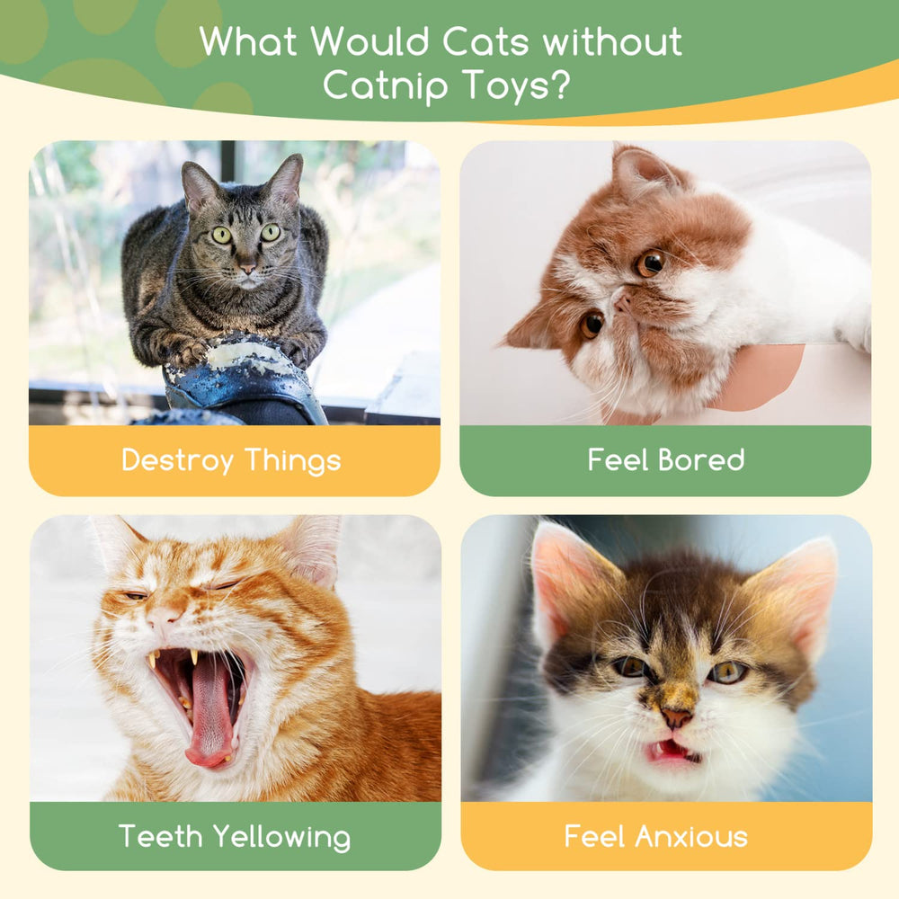 Nobleza catnip toys designed for indoor cats offer safe chewing and dental-friendly opportunities