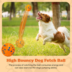 Nobleza dog balls bouncing action: encourages jumps and training fun
