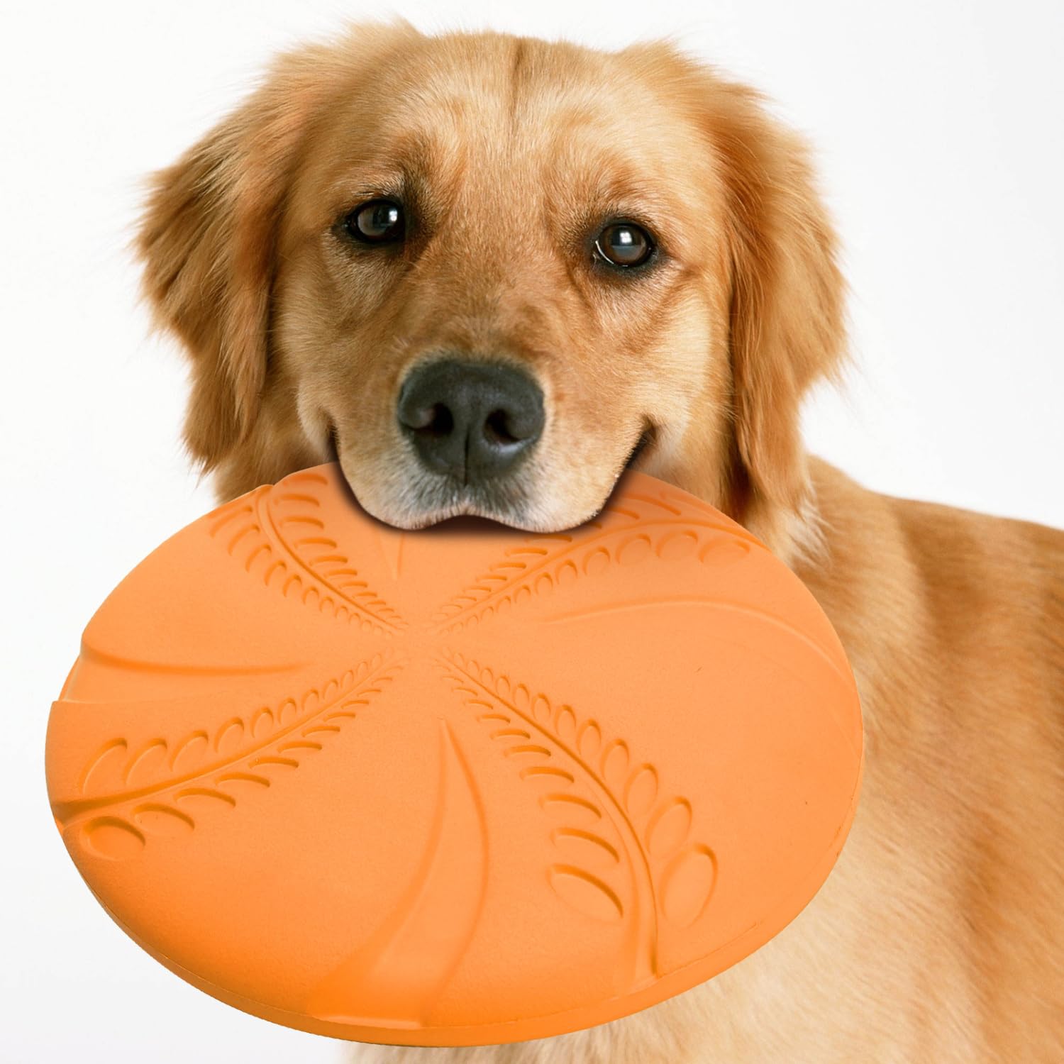Nobleza dog flying disc 8-inch diameter suitable for multiple breeds.