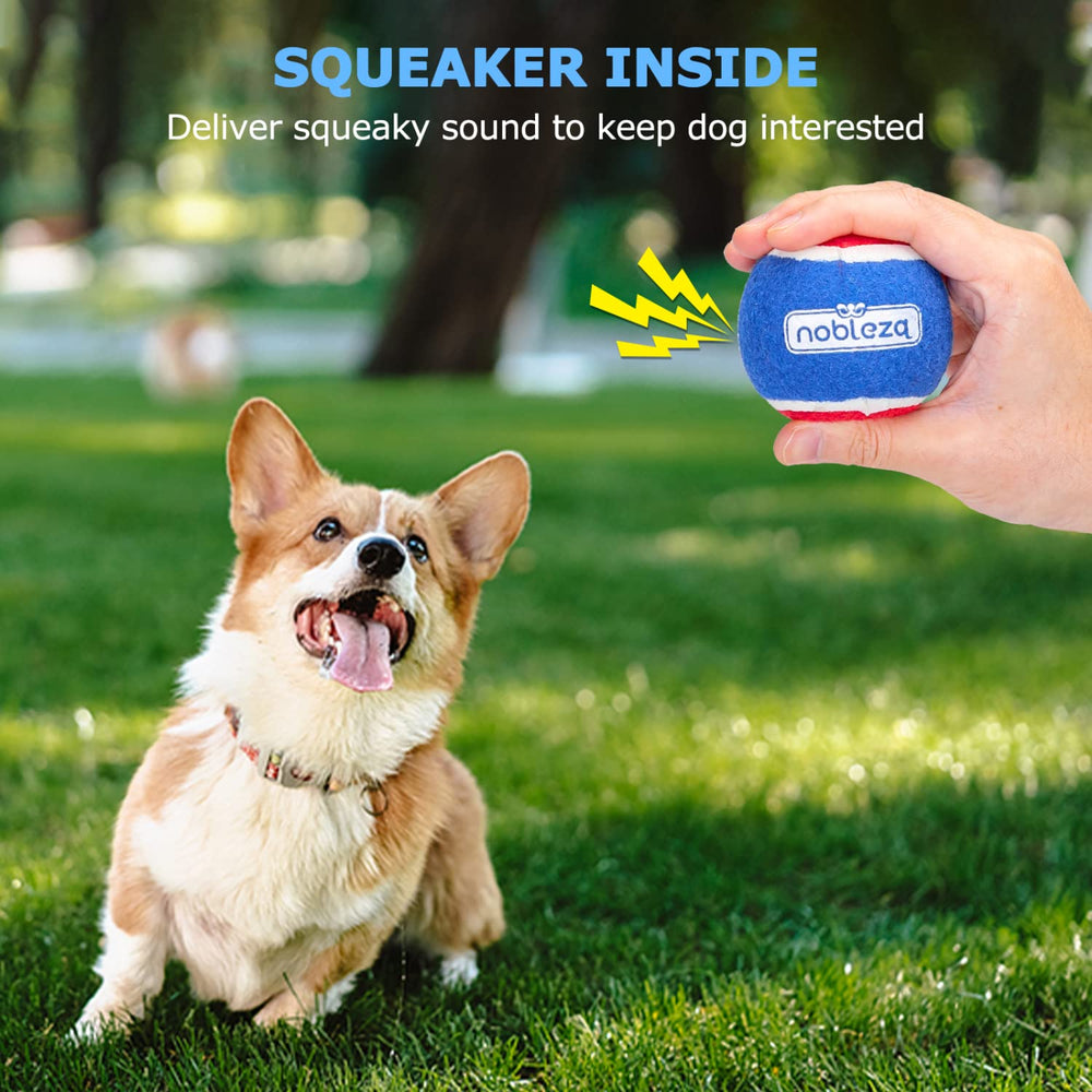 Nobleza dog tennis ball squeaky closeup highlighting interactive play