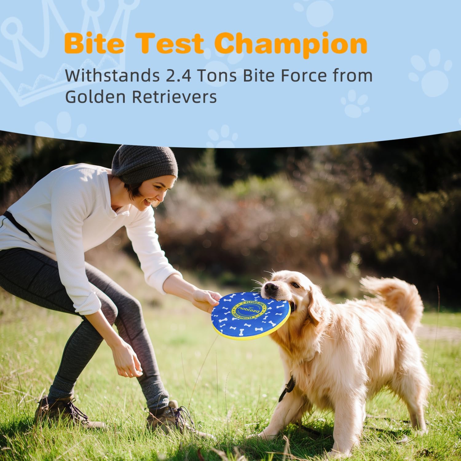 Nobleza long-distance glide disc blue-yellow demonstrates aerodynamic shape for far chases