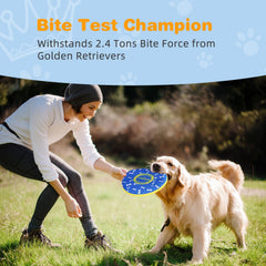 Nobleza long-distance glide disc blue-yellow demonstrates aerodynamic shape for far chases
