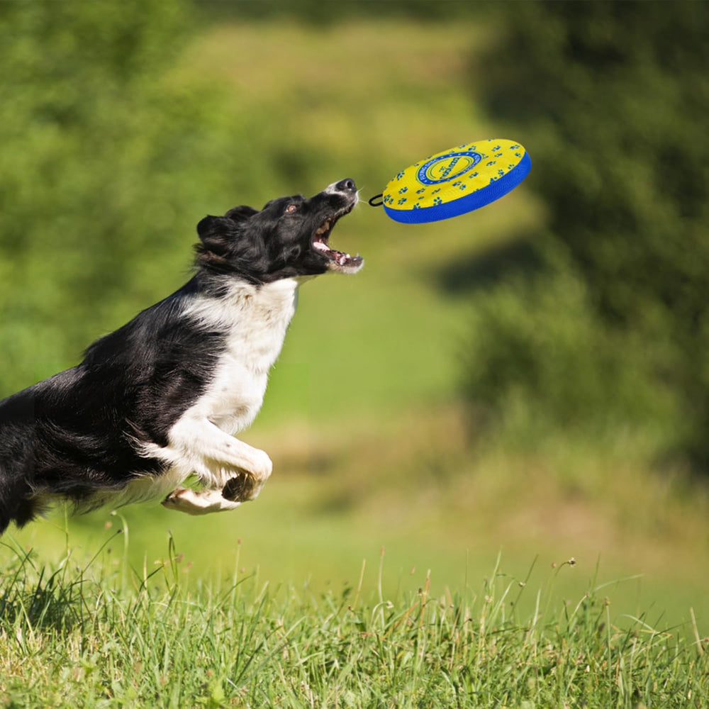 Nobleza two-pack durable dog toy designed for medium and large breeds