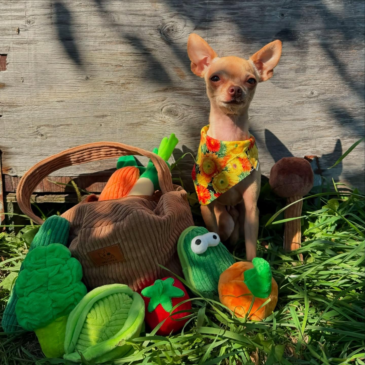 Nocciola 13-inch grocery bag storage toy set simplifies cleanup and organization.