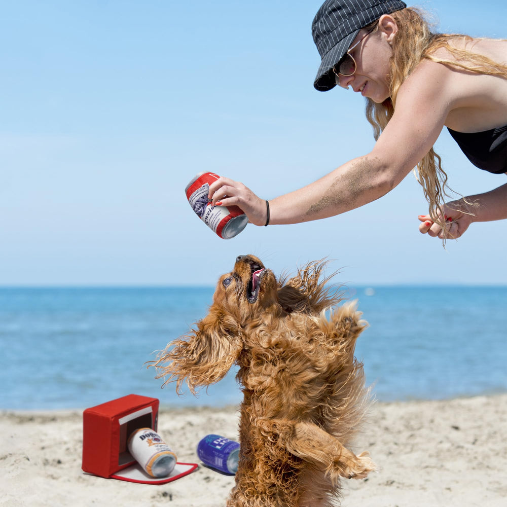 Nocciola beer toy bundle—interactive bonding during family play.