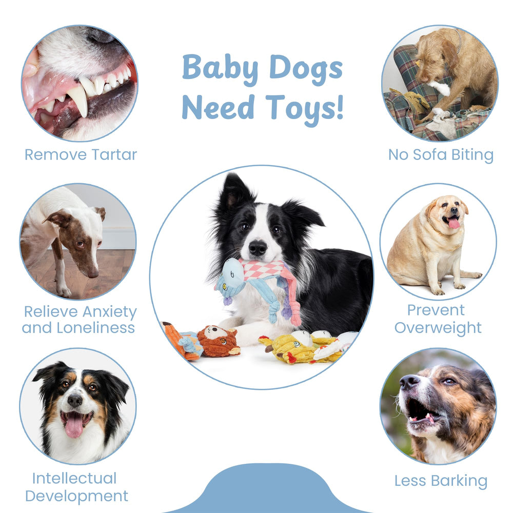 Nocciola Christmas stocking-ready packaging showcases giftable, mess-free puppy toys.