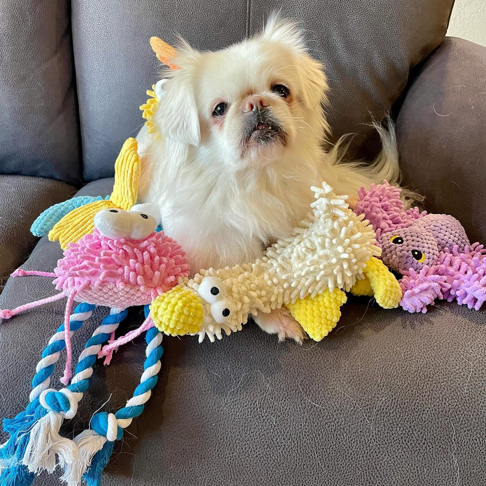 Nocciola colorful bundle-dog-toy image shows variety.