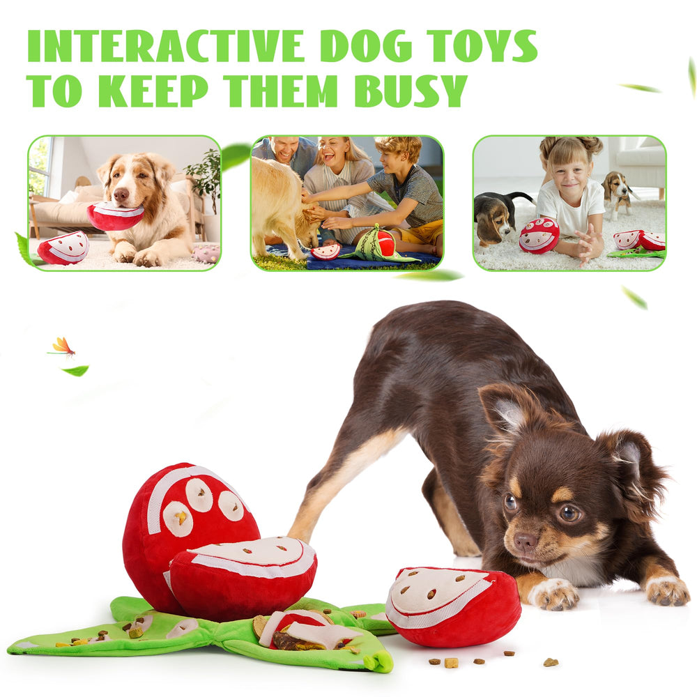 Nocciola crinkle-paper squeaks keep dogs engaged during training and play.