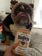 Nocciola fridge puzzle toy closure—secure hook-and-loop for hiding rewards.