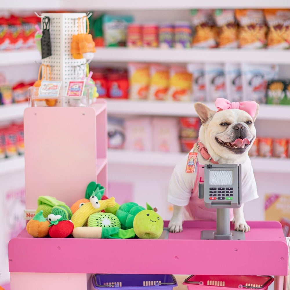 Nocciola fruit apple squeaky toy encourages interactive play and curiosity.