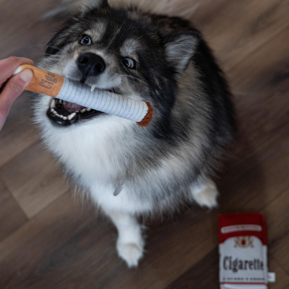 nocciola funny squeaky cigarette dog toy multiple color options shown for variety and dog-approved fun