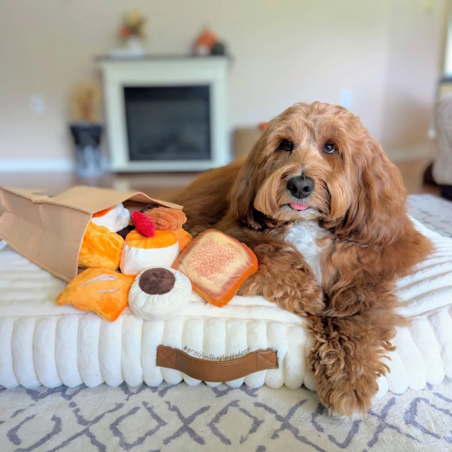 Nocciola hidden-treat pocket toy encourages sniff-and-find enrichment.