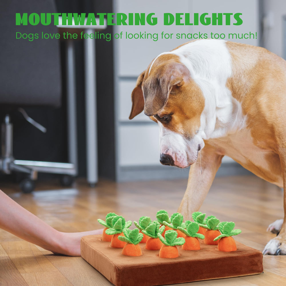 Nocciola indoor-outdoor-dog-toy for versatile play at home or outside