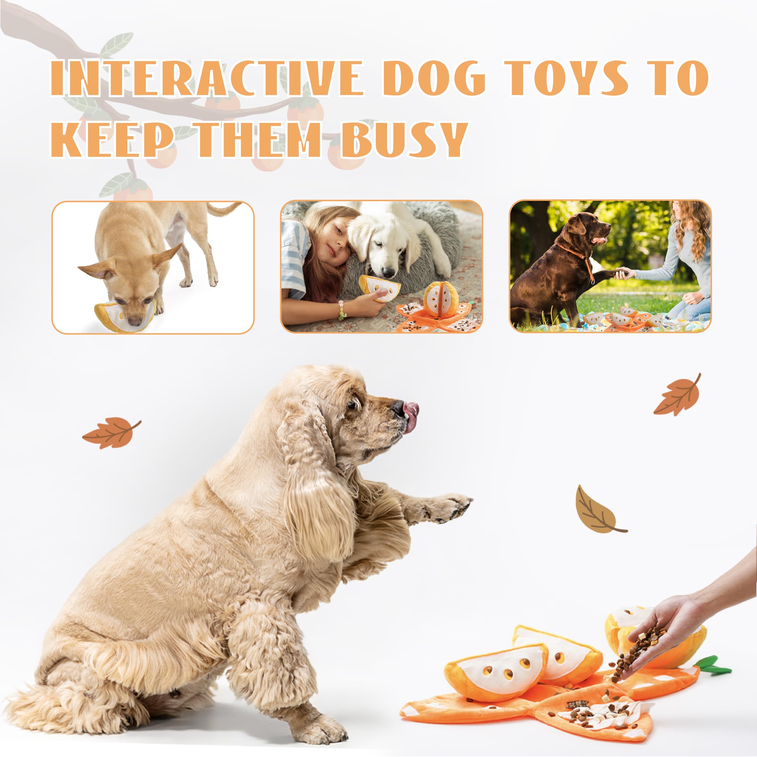 Nocciola Interactive toy shown for small medium dogs enrichment.