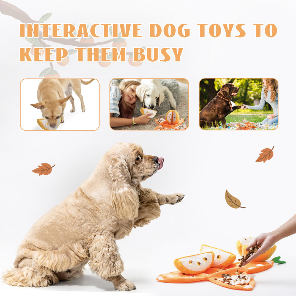 Nocciola Interactive toy shown for small medium dogs enrichment.