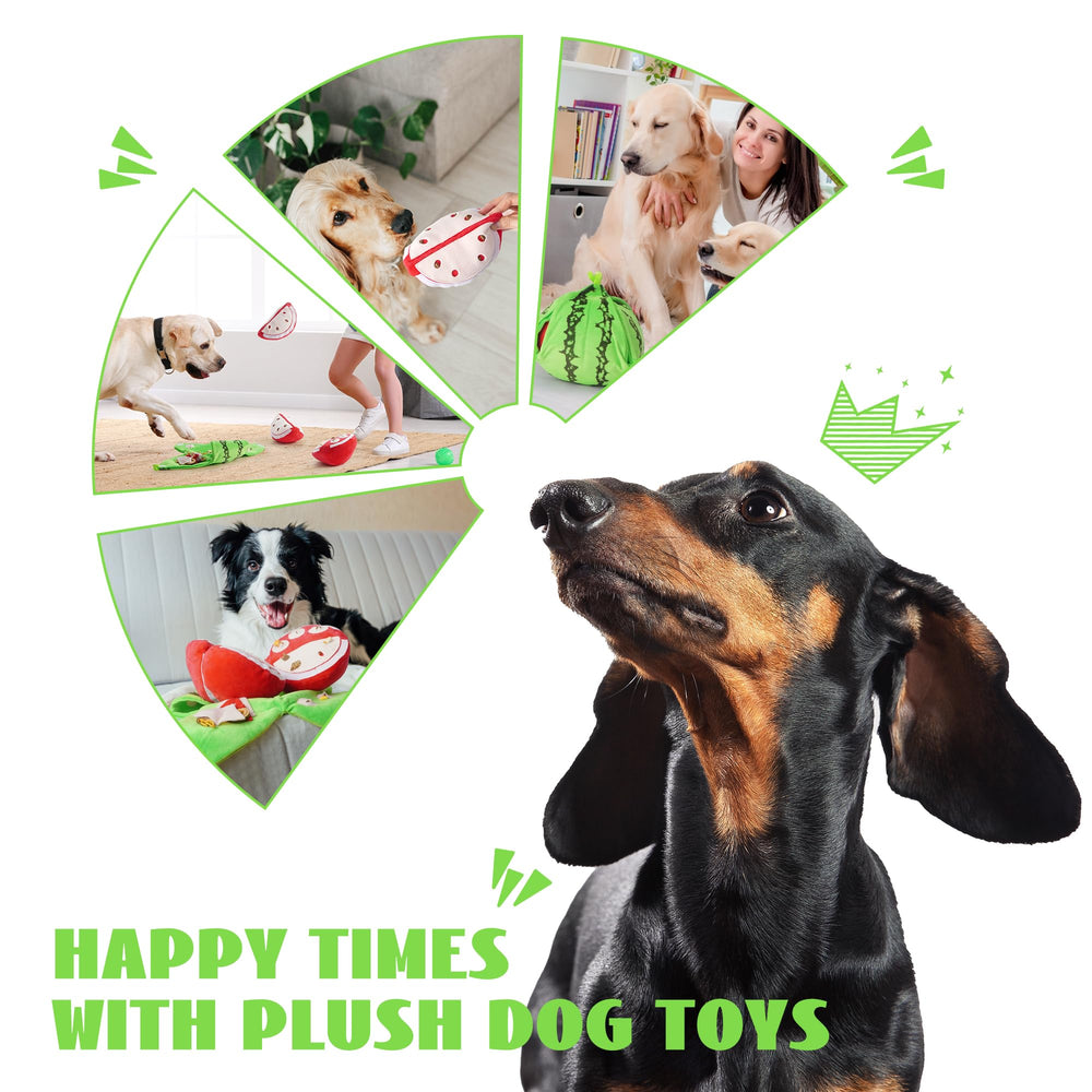 Nocciola interactive toy featuring treat pockets for enrichment and nosework.