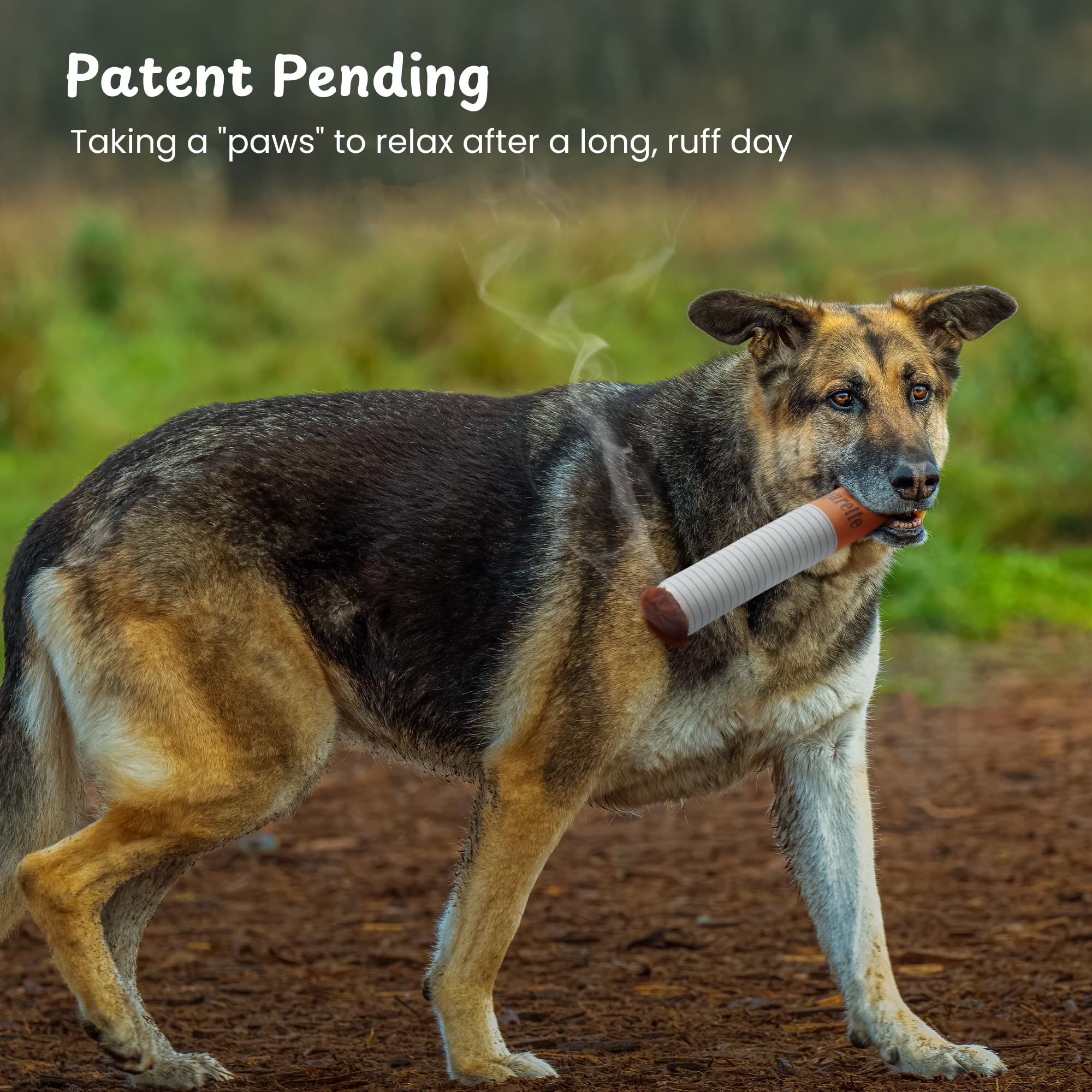 Nocciola interactive play dog toy promotes mental engagement during games