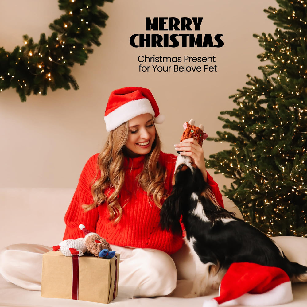 Nocciola Christmas 3-pack pack-shot image ready for gifting inspiration.