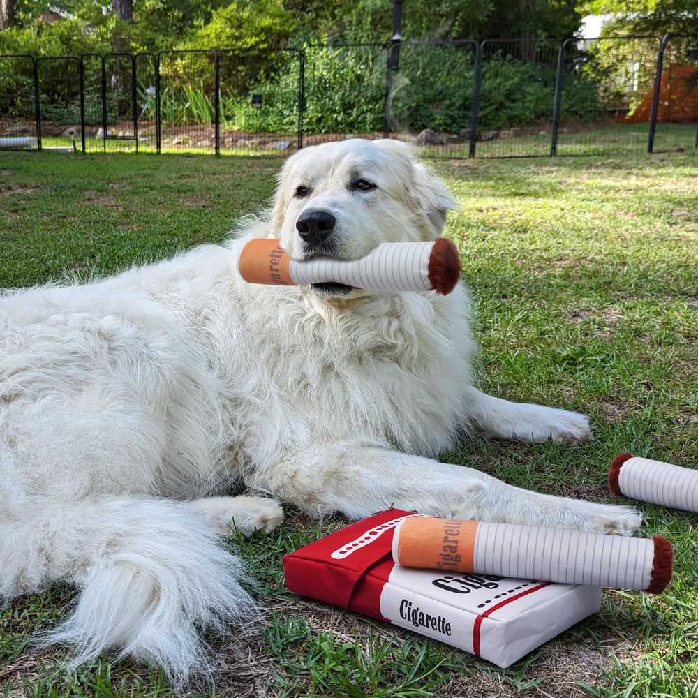 Nocciola photo-worthy moment dog toy ready for fetch and toss