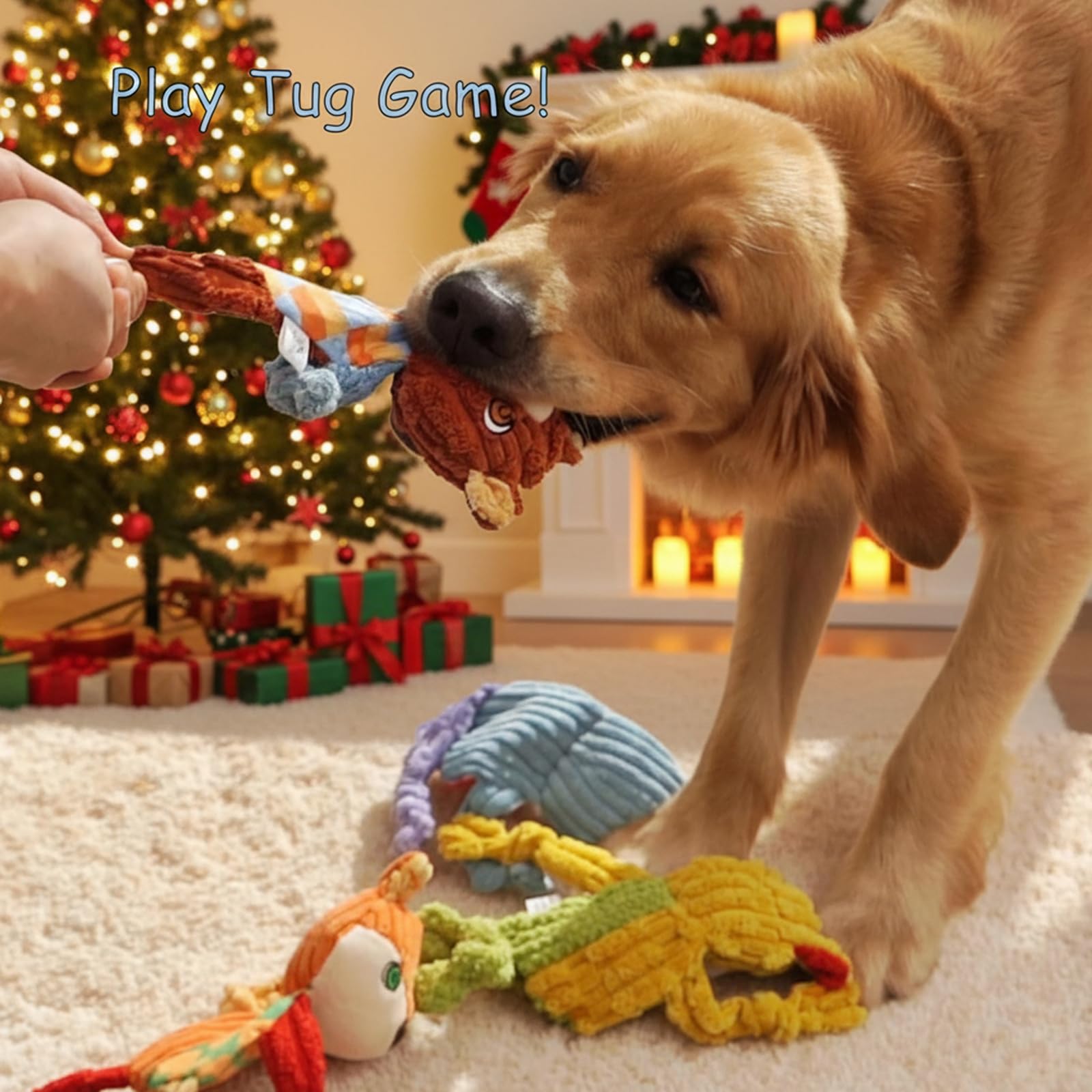 Nocciola safe plush materials ensure cozy, pet-friendly play sessions.