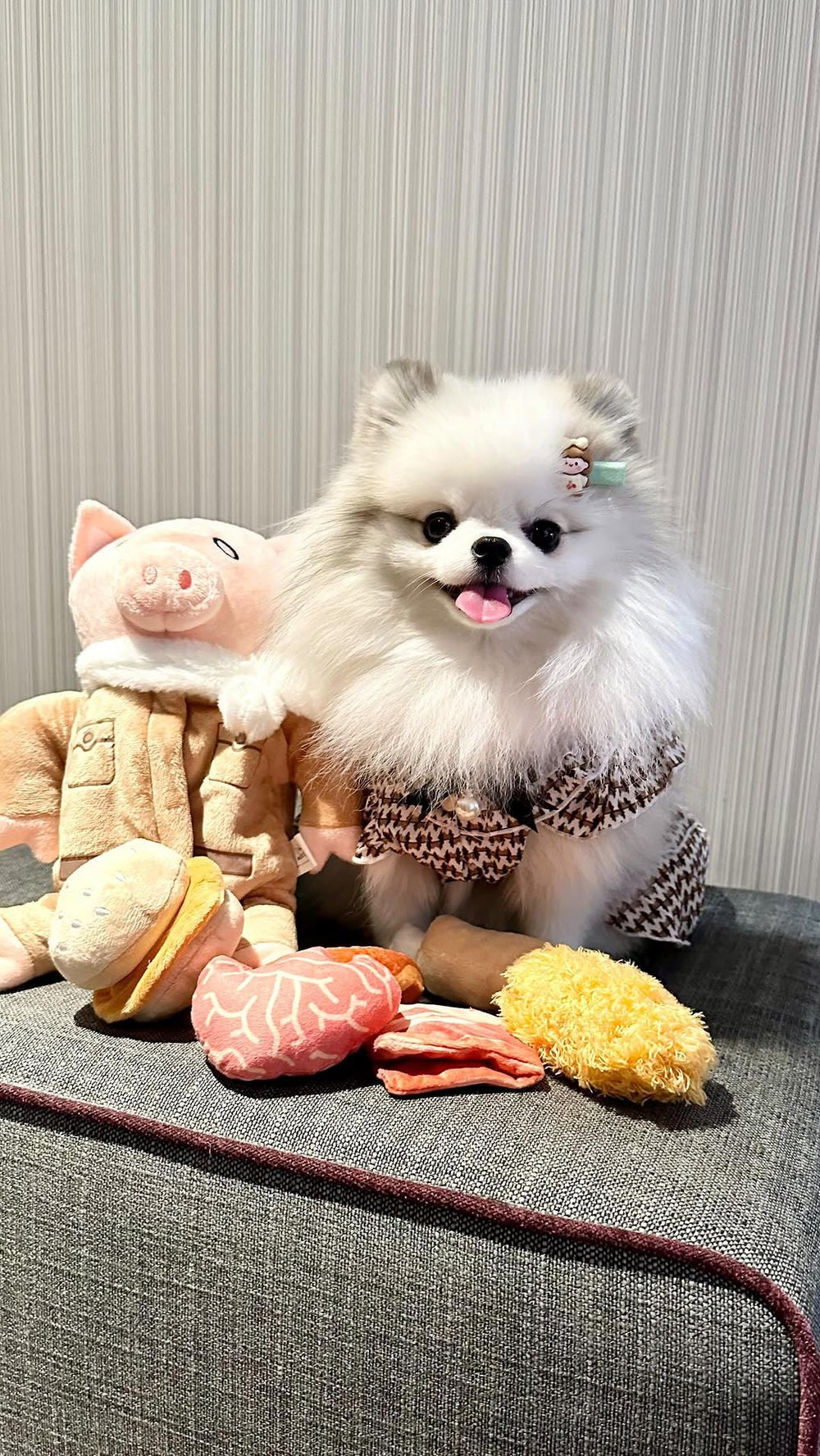 Nocciola stuffed pig dog toy makes a charming Christmas stocking stuffer for dogs.