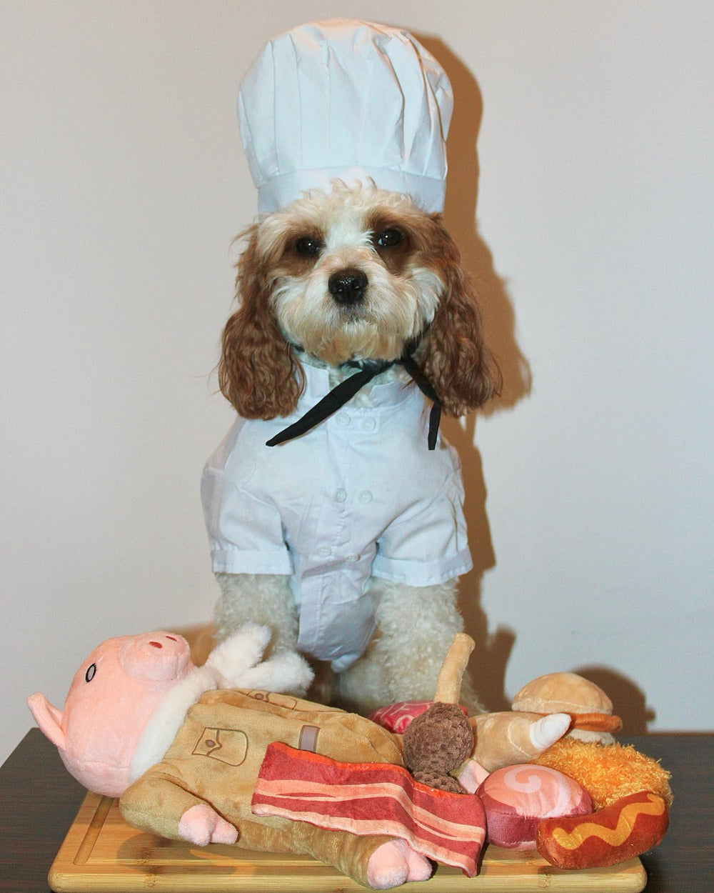 Nocciola stuffed pig dog toy close-up reveals squeak and crinkle for sensory engagement.