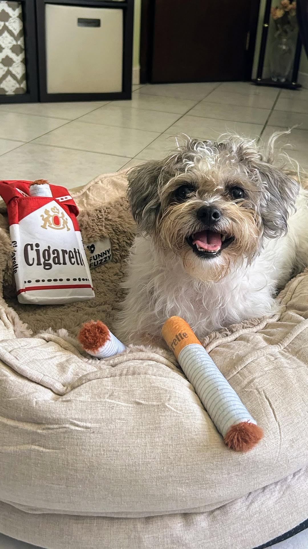 Nocciola three-pack versatility for photos and fun with dogs