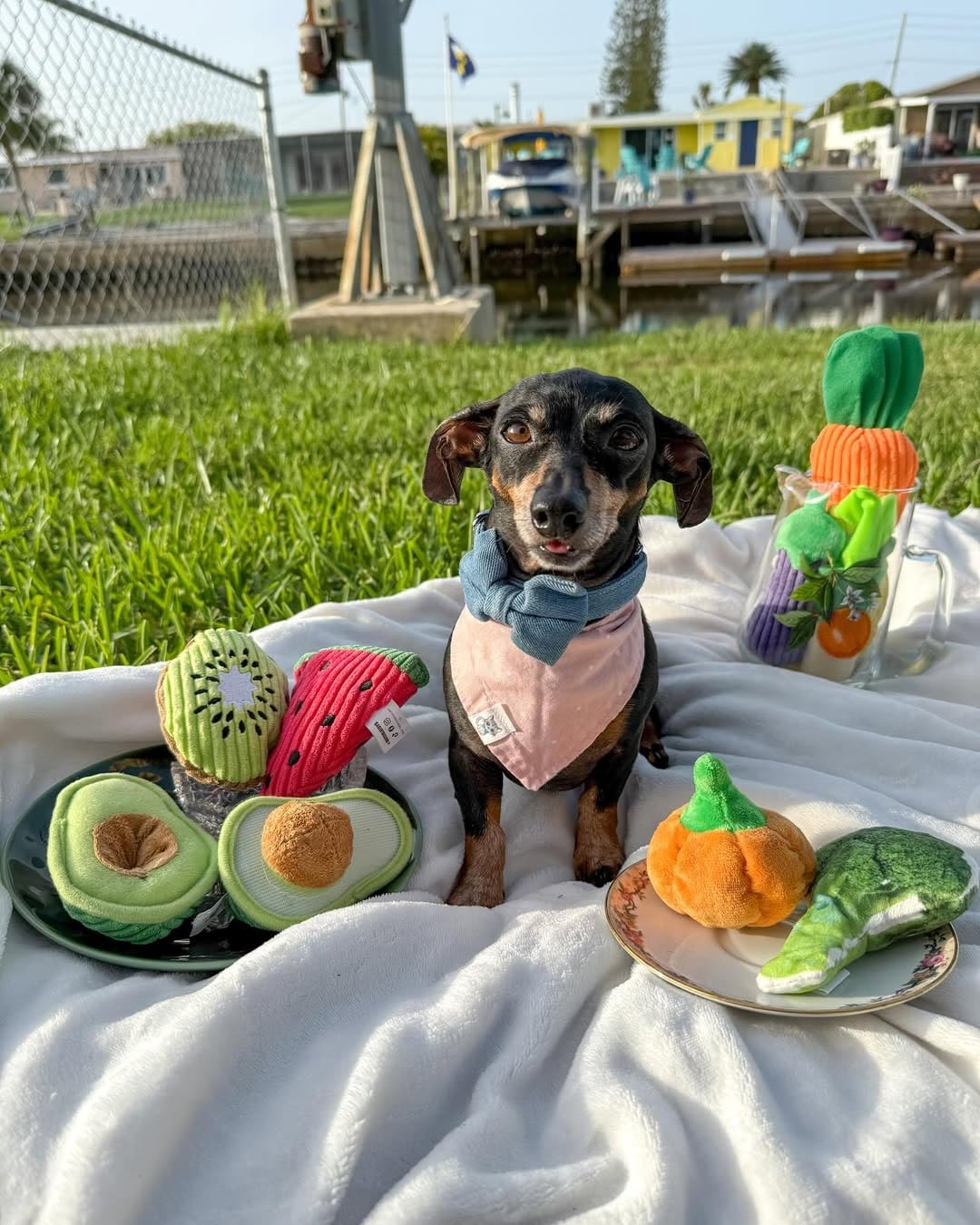 Nocciola embroidered fabric closeup showing durable stitching.