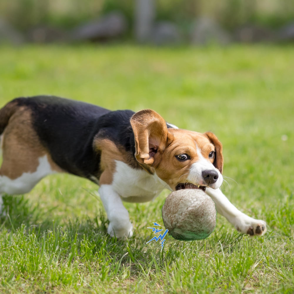Nocciola Wobble Giggle Ball is battery-free, emitting sounds via internal noisemaker.